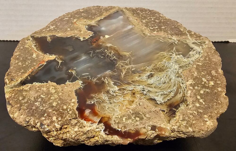 Thunder Egg Geode with Brown and White Chalcedony Crystal